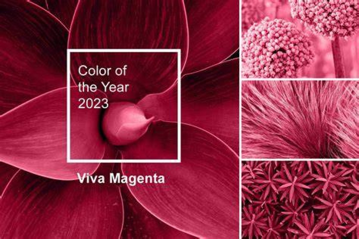 Why 2023 Is the Year of the Chronograph: 6 Watch Brands Celebrating the Stopwatch Complication, from the Rolex Daytona and Tag Heuer’s Monaco, to Audemars Piguet’s Royal Oak Offshore