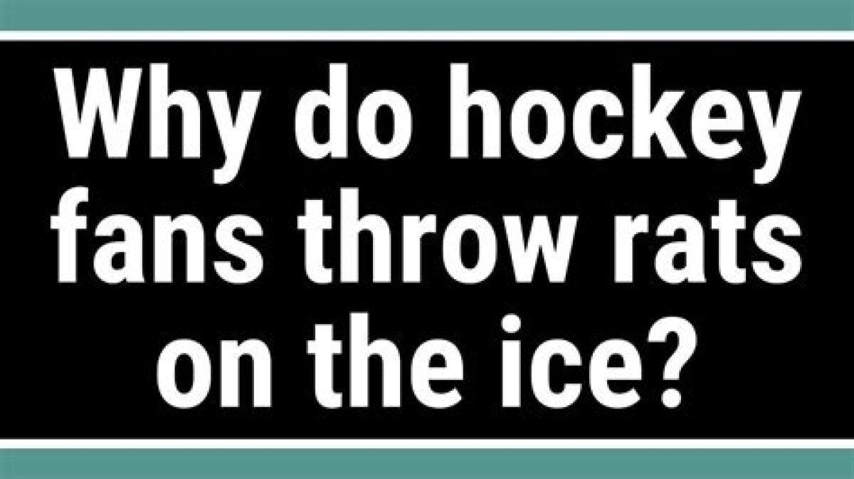 Why Do Hockey Fans Throw Apples on the Ice?