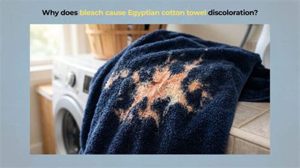 Why Does Bleach Cause Rust?