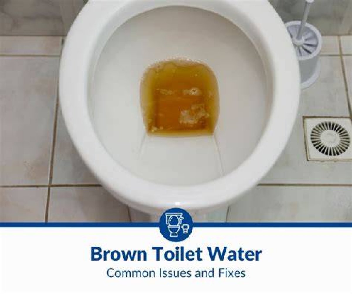 Why Is My Toilet Water Brown?