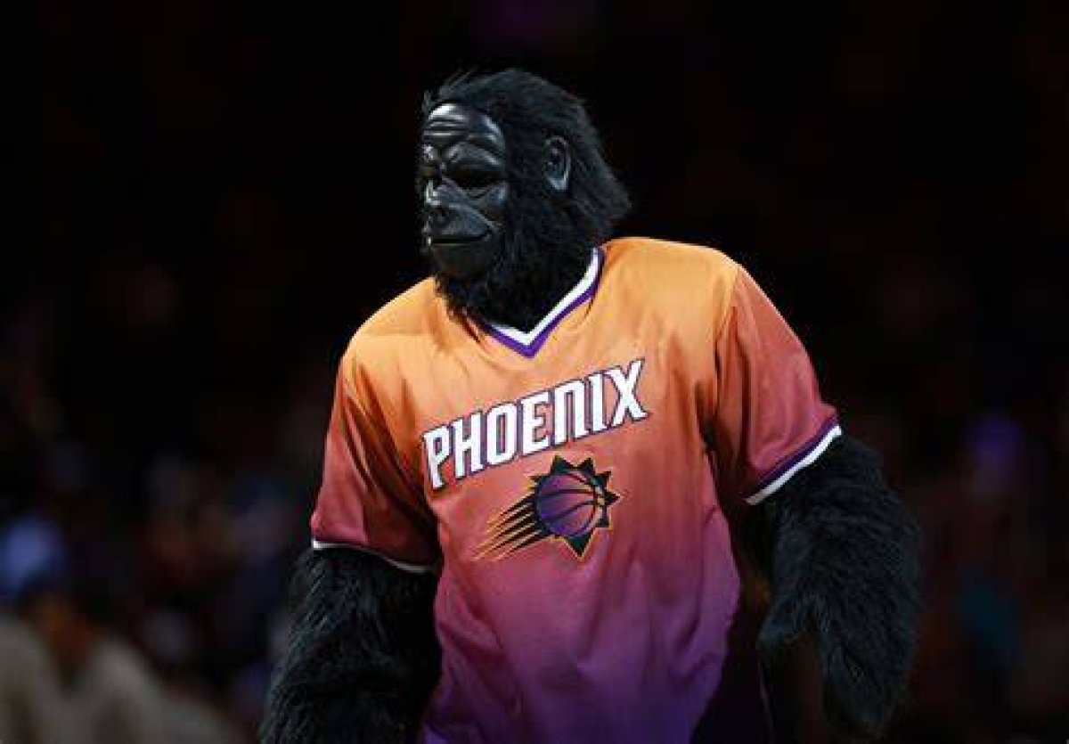 Why Is the Suns Mascot a Monkey?