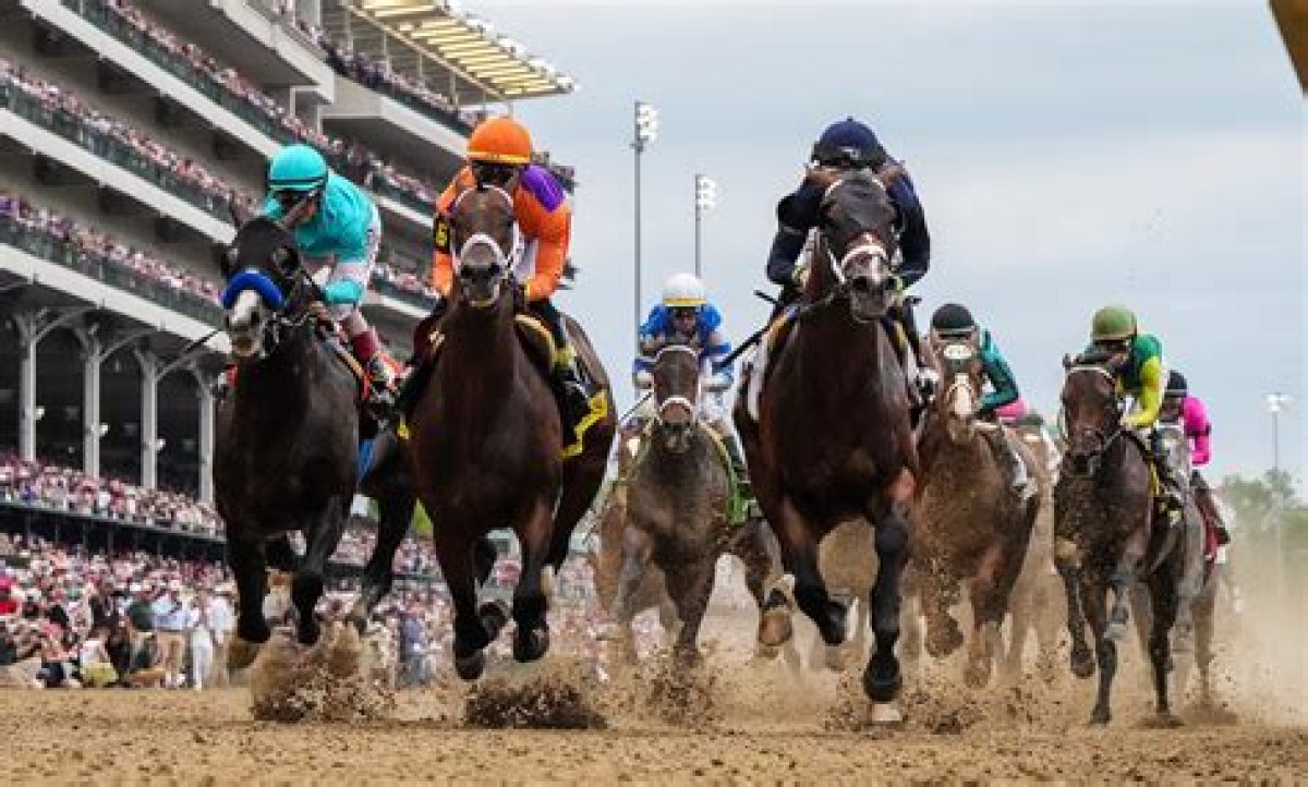 Why Kentucky Derby Horse Names Are So Odd