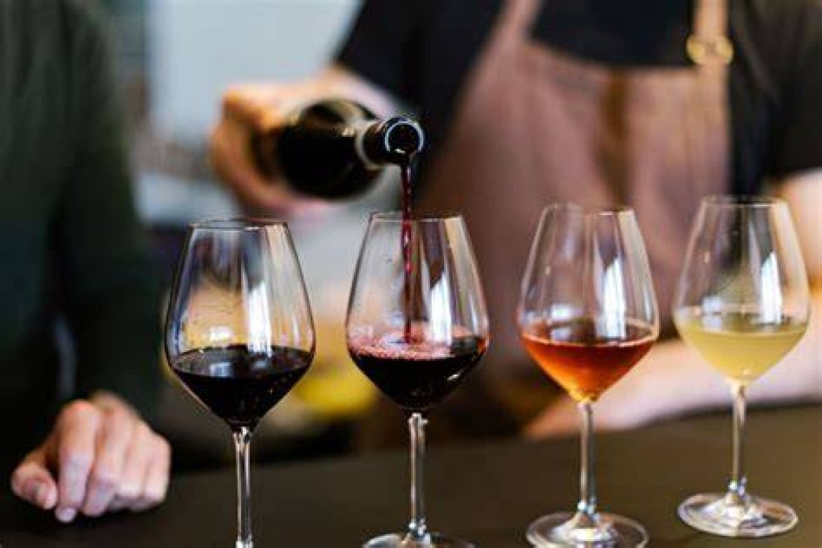 Wine Tasting: Princely Wine Cellars of the Prince of Liechtenstein