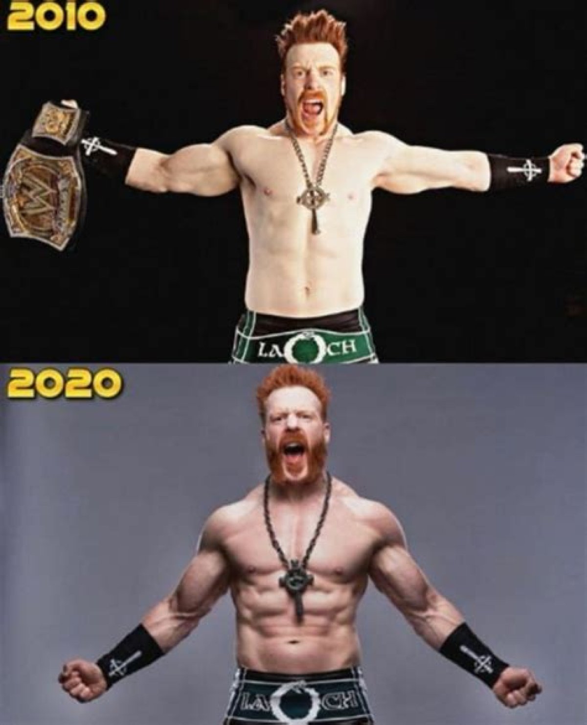 Wwe Wrestler Sheamus Height Weight Body Stats
